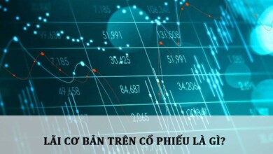 Lãi cơ bản trên cổ phiếu