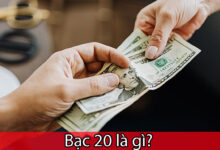 bạc 20 là gì